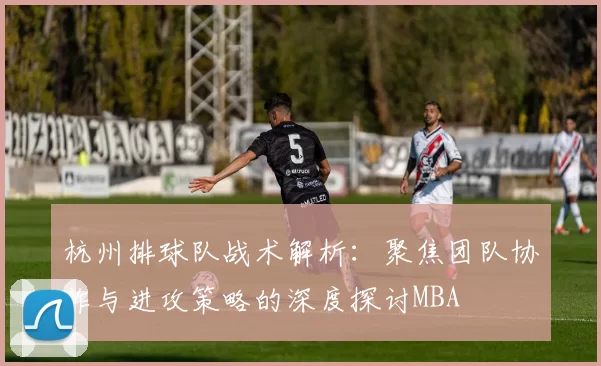 杭州排球队战术解析：聚焦团队协作与进攻策略的深度探讨MBA