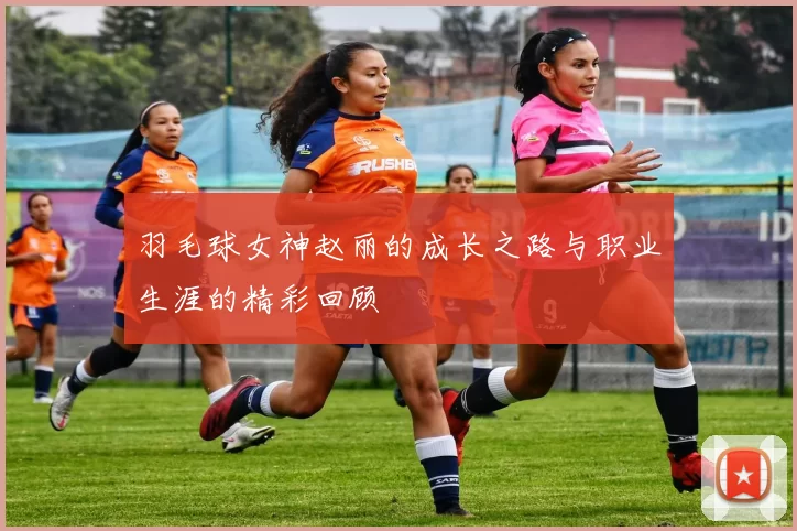 羽毛球女神赵丽的成长之路与职业生涯的精彩回顾